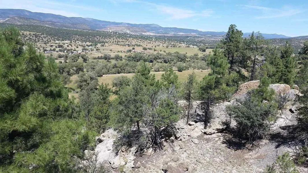 68 ACRES NM 435  