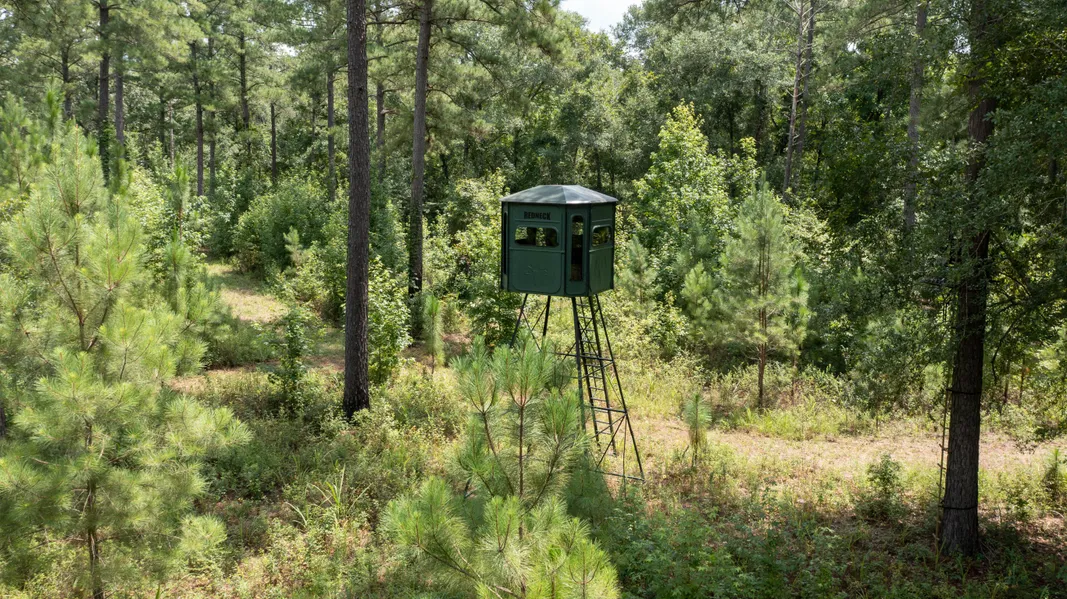 Recreational Property in Macon County, Georgia
