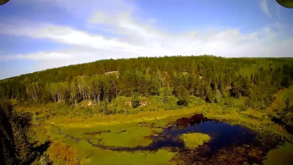 Tbd Forest Rd 200  