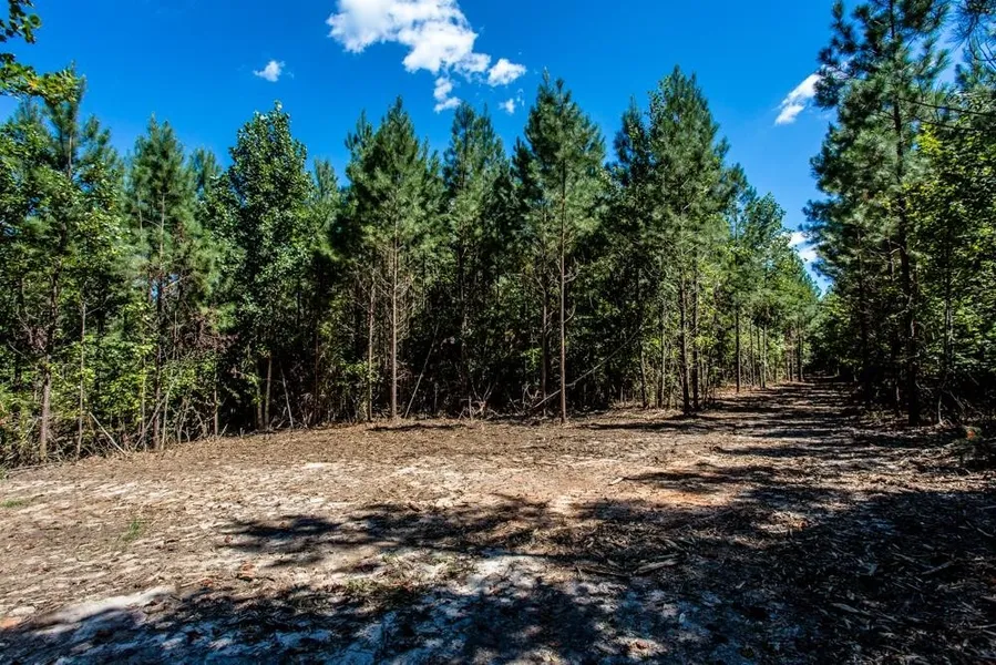 TBD 3 ROCKFISH Riv RD  