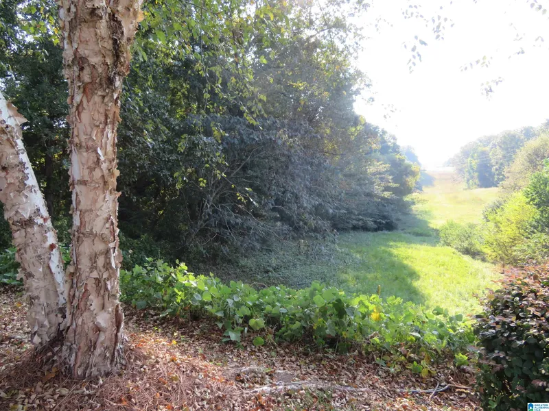 Lot 38 SAINT SIMONS Way  