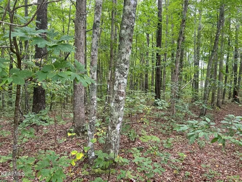 Lot 11 Fls Rd  
