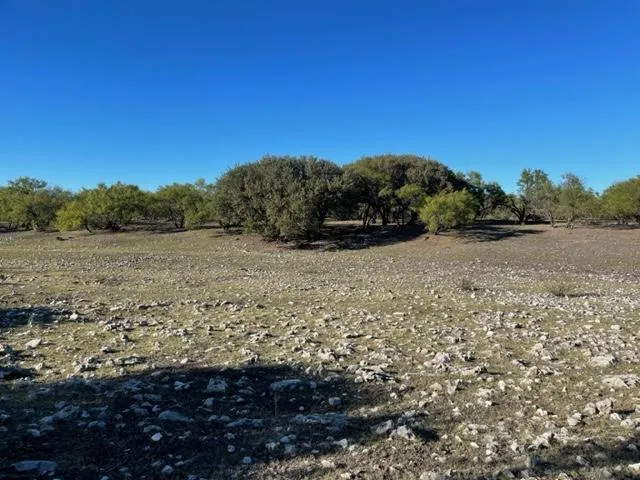 9349 E Hwy 190 Lot 2  