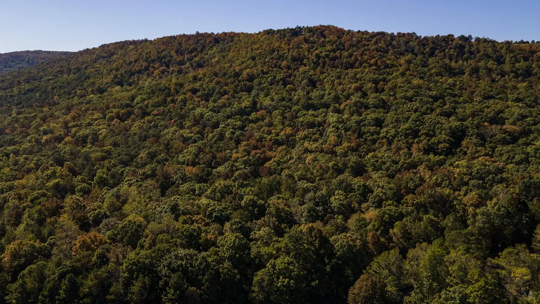 Recreational Property in Saint Clair County, Alabama