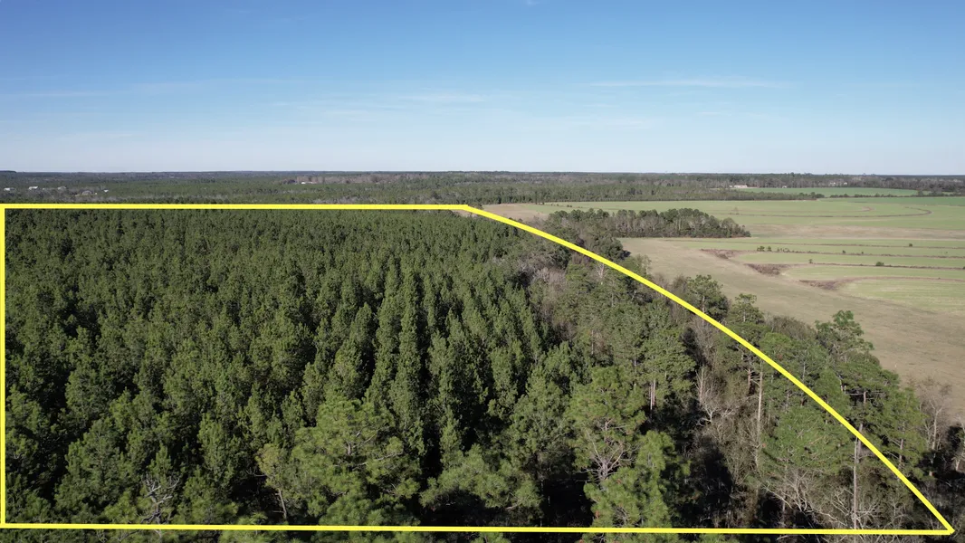 Lot 21-SW Bashi Rd Pace FL  