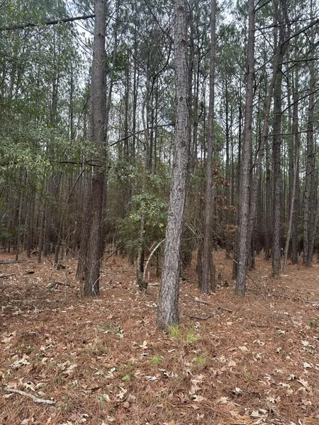 440 BENT KNEE Rd  