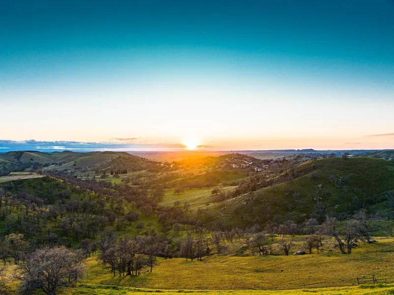 0-0 Wispering Willow  