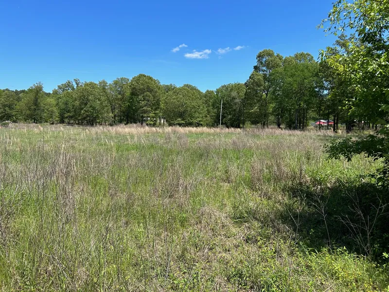 4069 Farm to Market Rd 451  