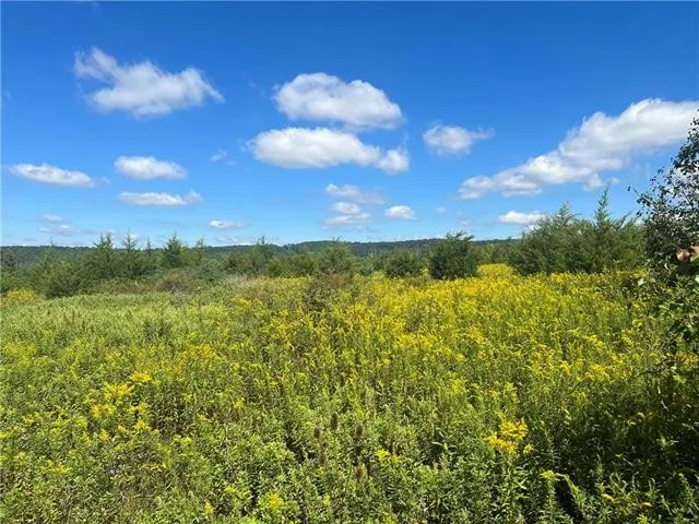 9767 South Kings Hwy  