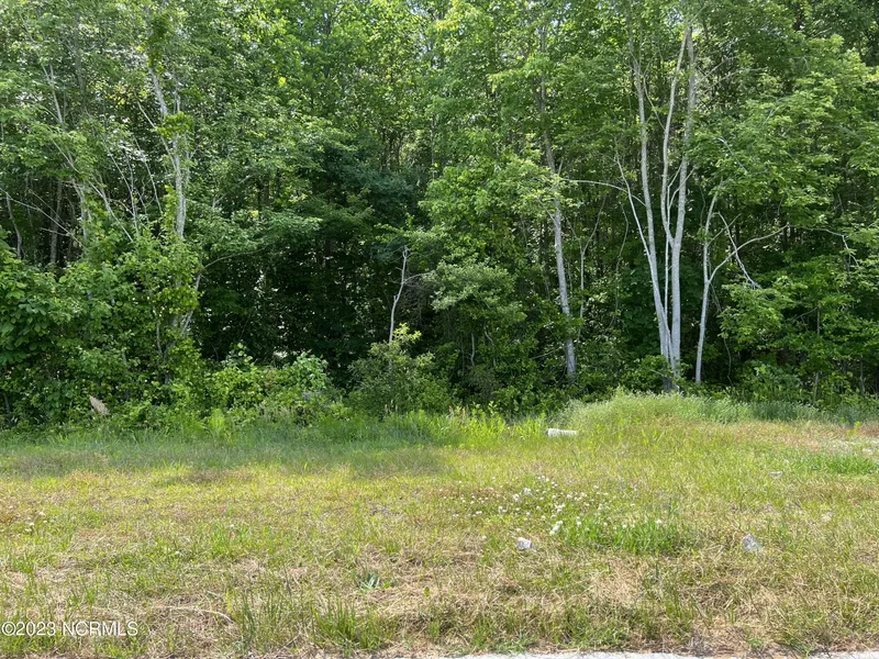 Tract 1 Hwy 125  