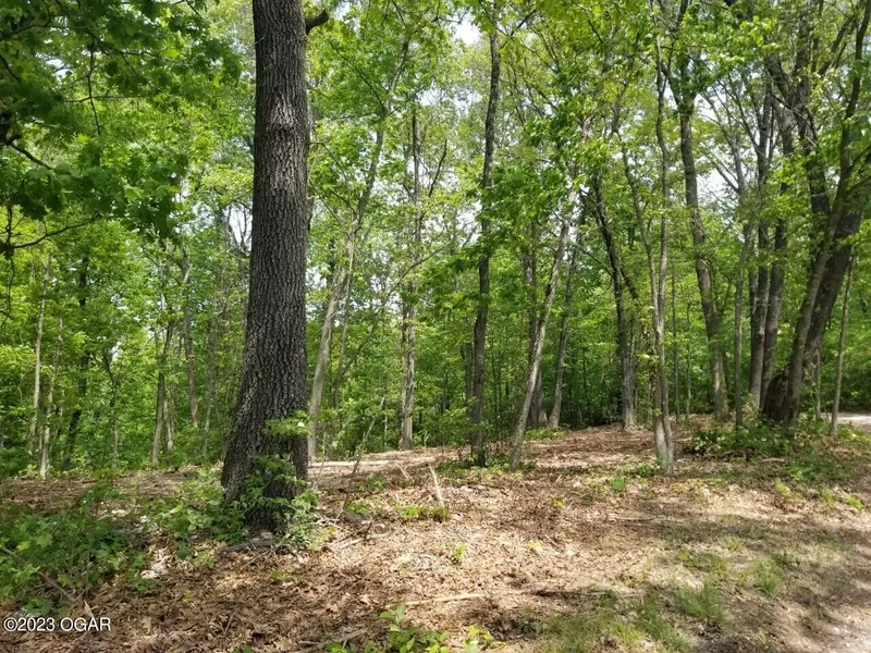 Tract 1 Creekwood Ln  