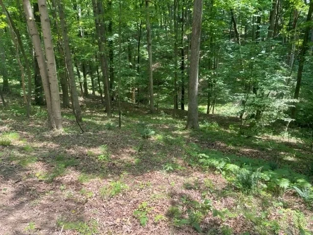 00 Aspen Dr  
