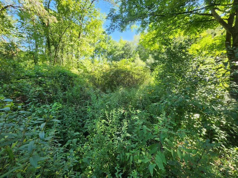 Industrial Lame Lot#WP001  