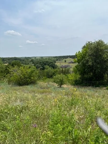 TX-337  