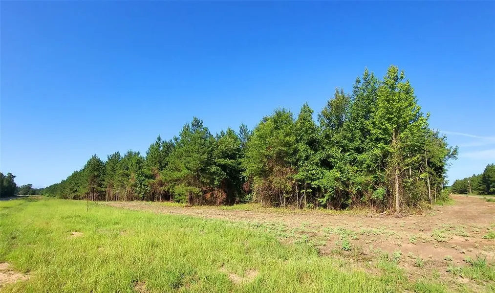 0000 Jessie Latin Rd  