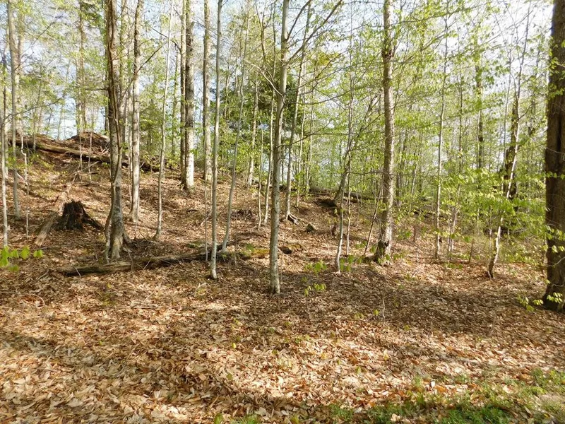 30-4-5 Palisades Rd W  