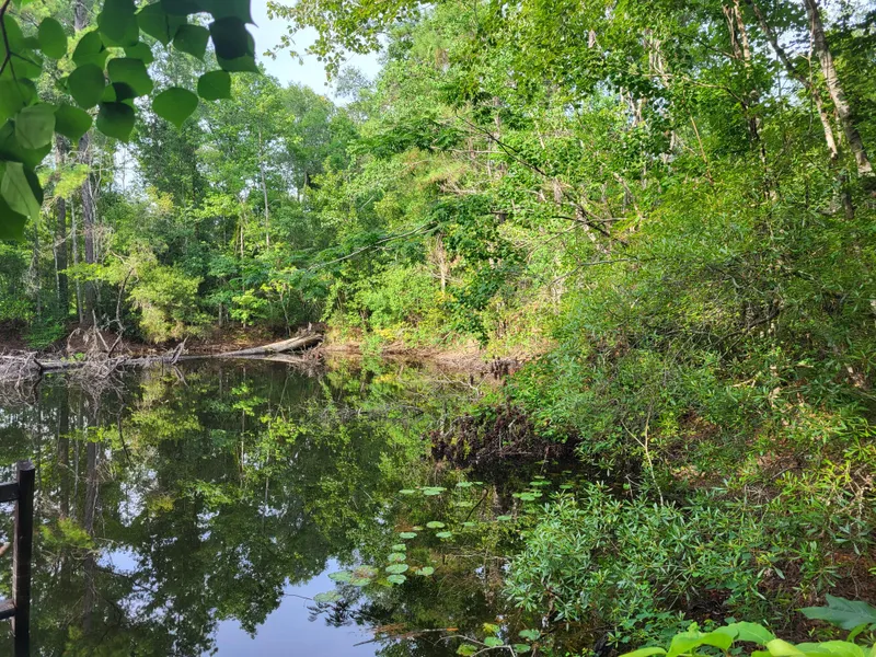 175 Cile Church Loop  