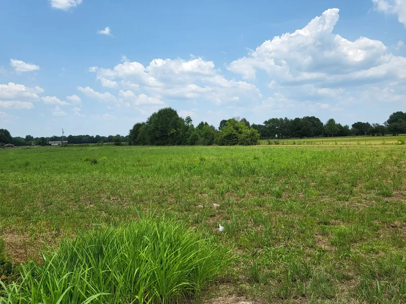 Tbd Hwy 167 Tract 1a-3  