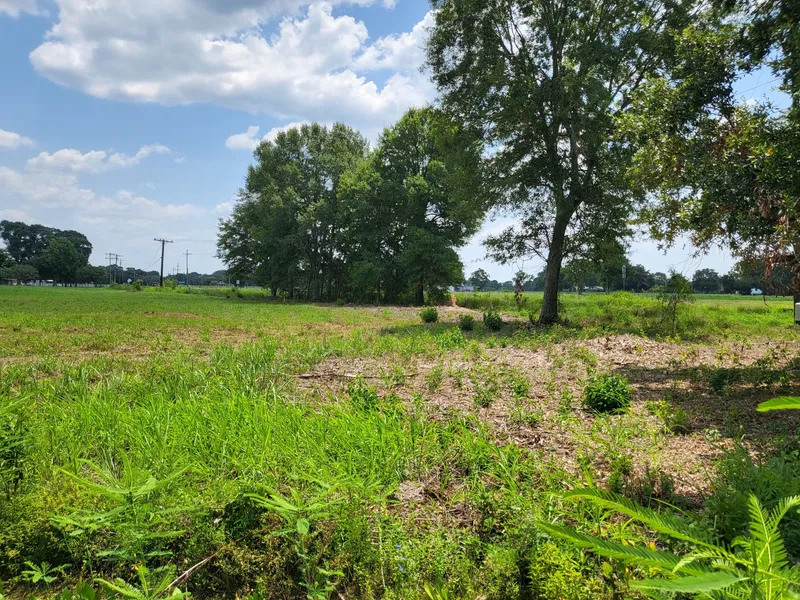 Tbd Adele Road Tract 1a-8  