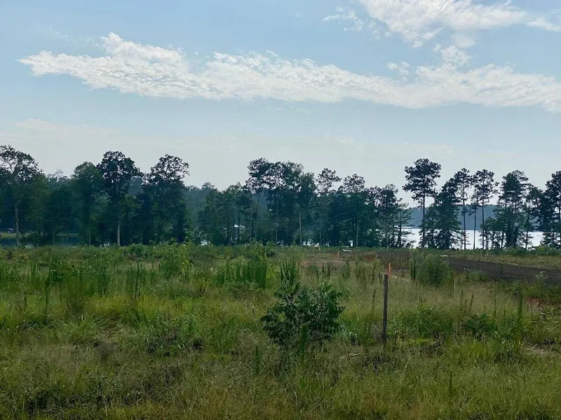 41 Shipwreck Ln  