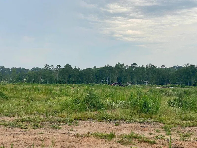 55 Driftwood Dr  