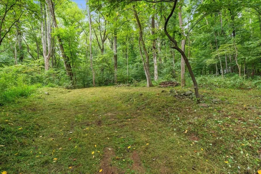 233 STONE CHIMNEYS RD  