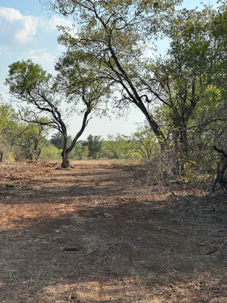 TBD FM1107 tract 3 or 4  