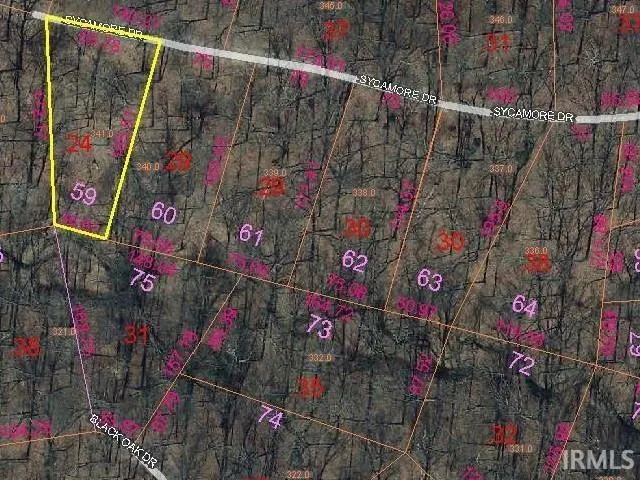 59 Sycamore Dr  