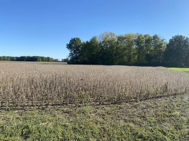 Farm Property in Grant County, Indiana