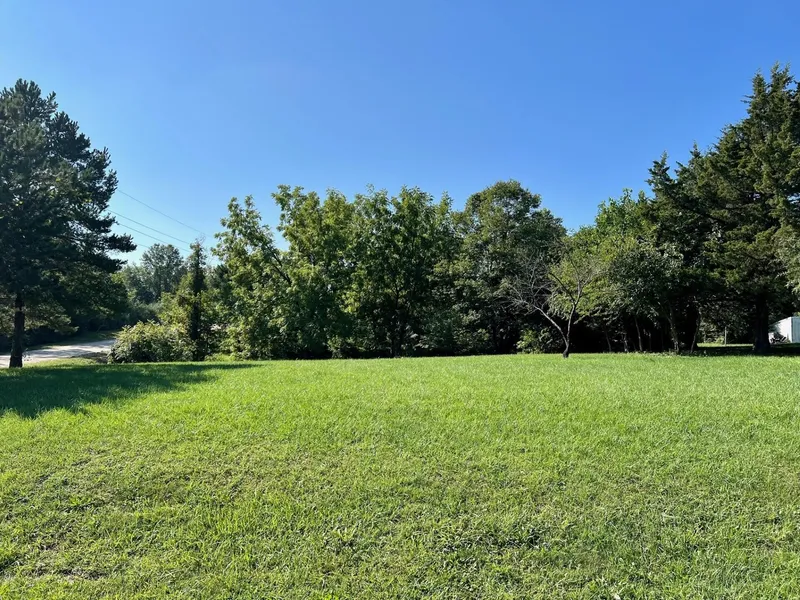 Lot 1 County Rd 2311  