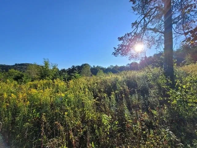 County Rd 408  