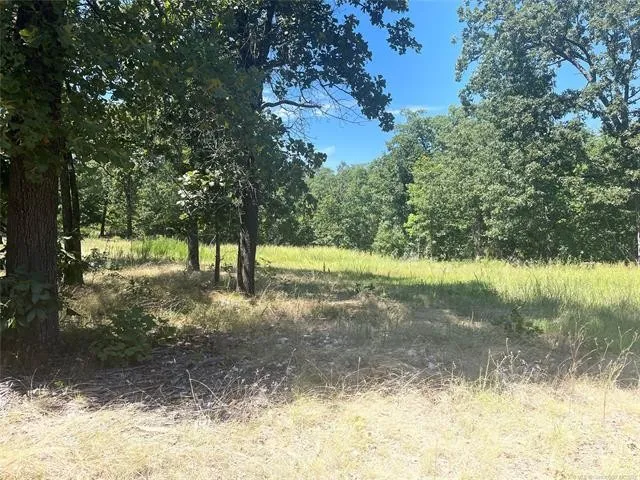 65782 Buffington Rdg Rd  