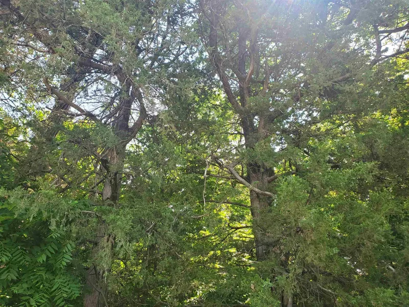 Lot-8 Acres M/L V  