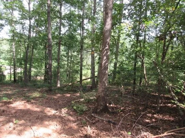 101 Winding Road - Lot 2  