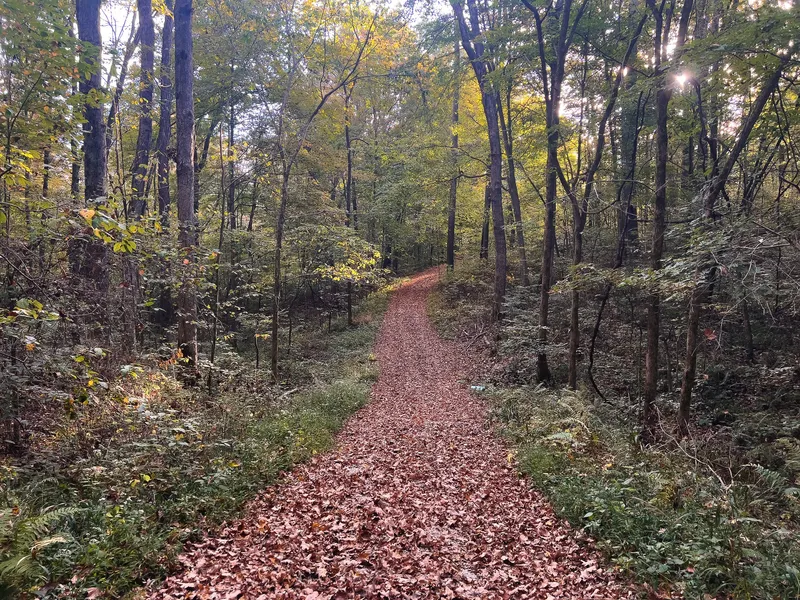 Tbd N CR 500 W Rd  