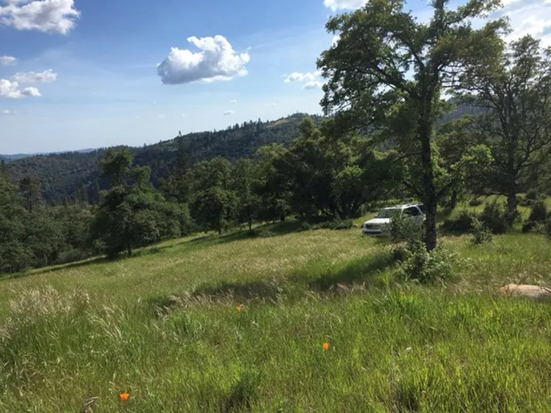 3 Pennsylvania Gulch  