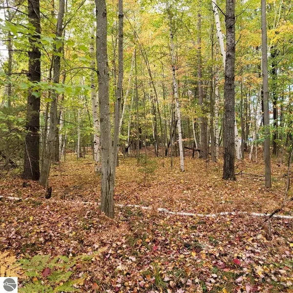 XXX SPRINGWOOD DRIVE PARCEL 1  