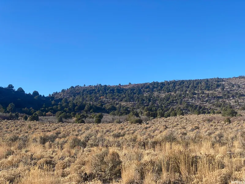 9 AC WEST OF ELSINORE  