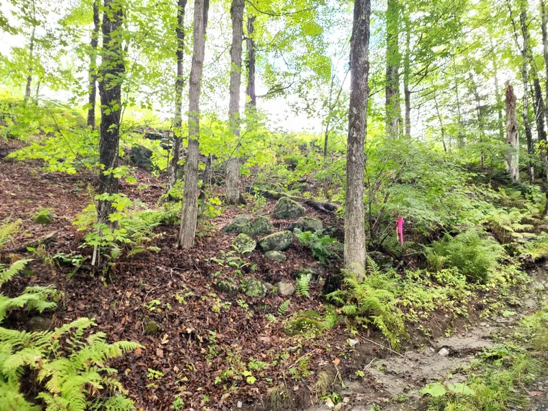 39 Walker Pit Rd  
