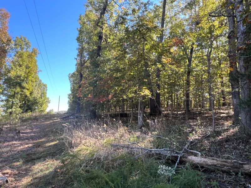 County Rd 6069  