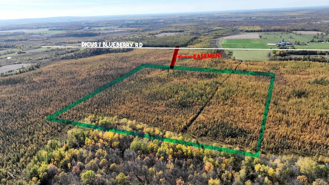 40acres Mol Dicus  