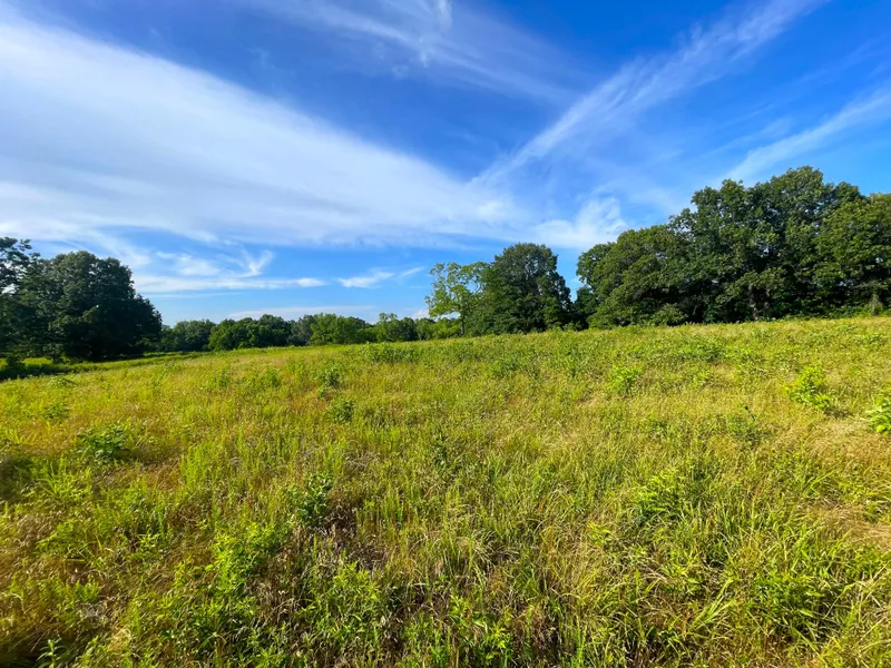 3222 State HWY 59 Goodman MO  