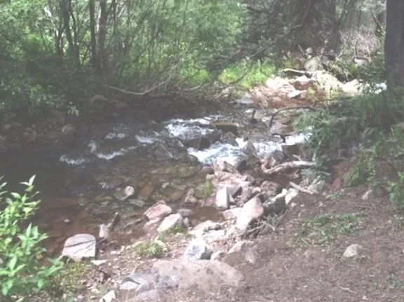 375 per month CA Mining Claim Ownership  