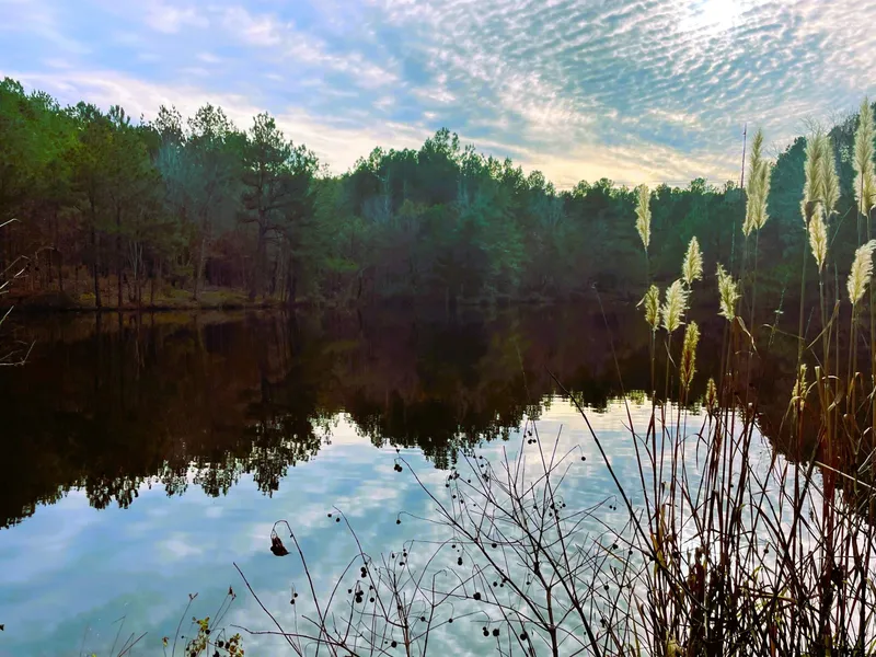 000 CR 2310 Dalby Rd  