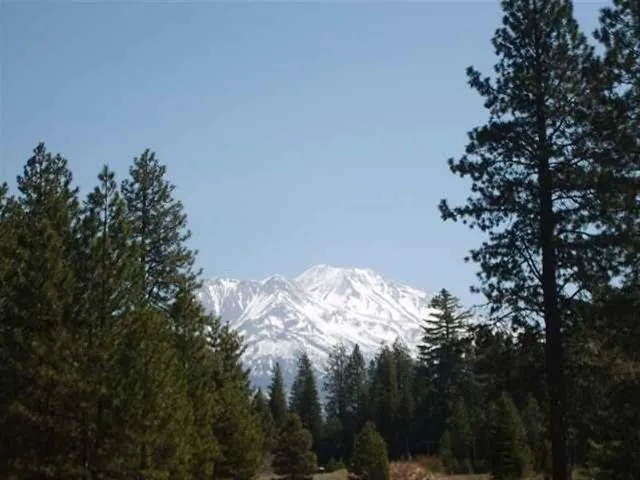 Lot 6 Old Stage Loop  