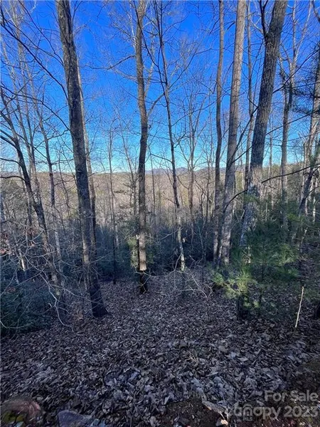 Lot 62a Sweetbriar Rd N  