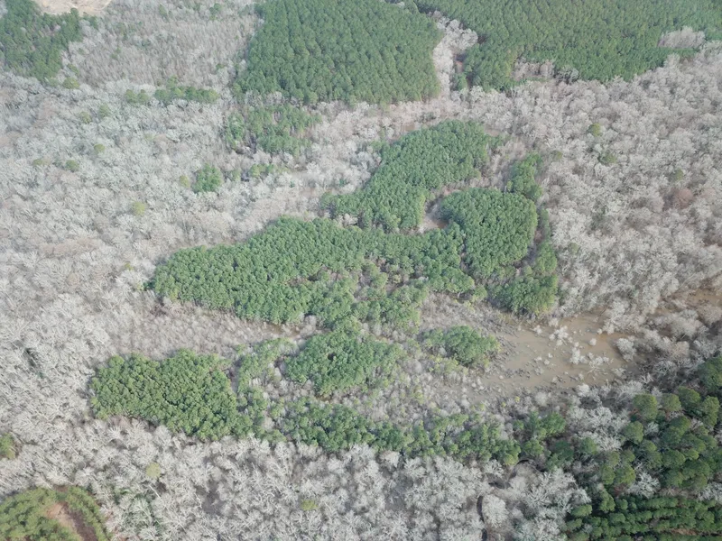 Highway 167 Lot# 003  