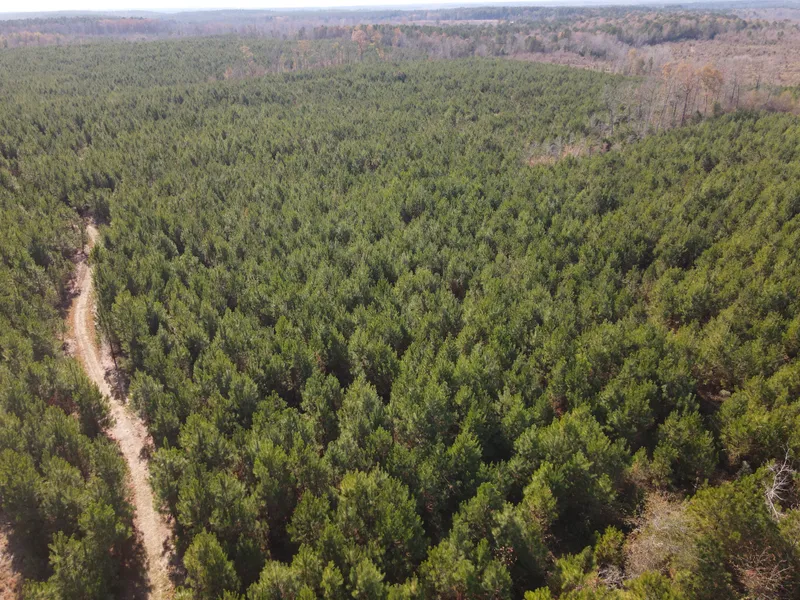 Bethal Church Rd Lot#WP001  