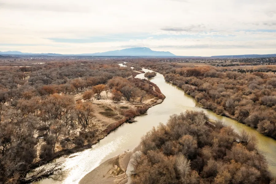 003 Sparkling Moolah  