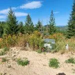 10 Kingston Wy  